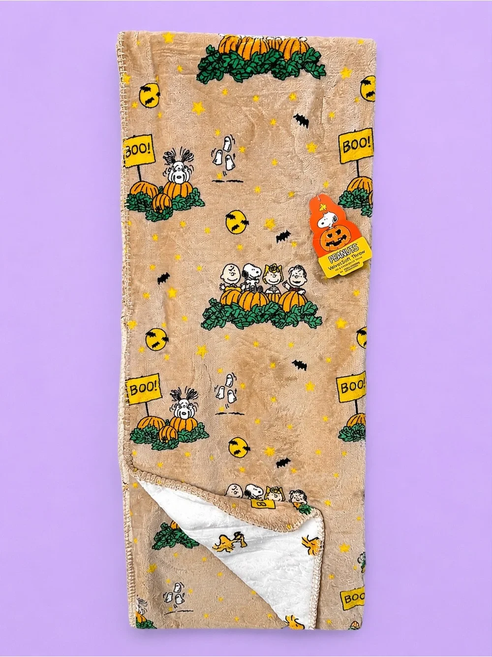 Peanuts Snoopy Blanket